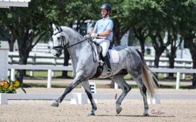Holly Hill John Mason Dressage Clinic