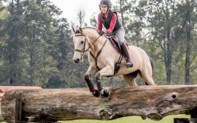 Holly Hill USE Schooling Horse Trials